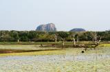 Yala National Park